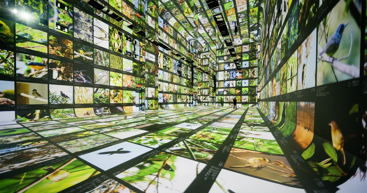 World’s First AI Arts Museum Dataland Opens June 20 In Los Angeles