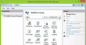 IIS Bug Bounty: Legal Risks & Exploit Methods