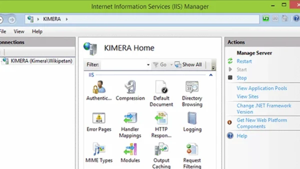 IIS Bug Bounty: Legal Risks & Exploit Methods