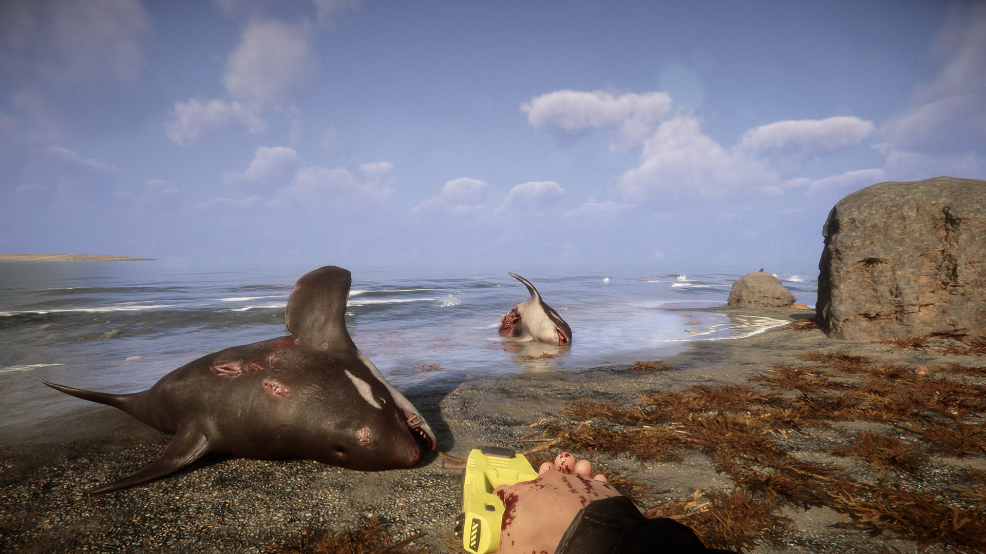 Sons of the Forest Drops 70% in Limited Steam Promotion — screenshot 2