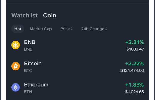 Binance App Vanishes From Google Play in Parts of the EU