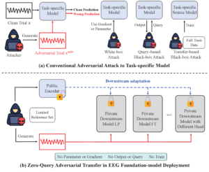 Public EEG models can be turned against private AI