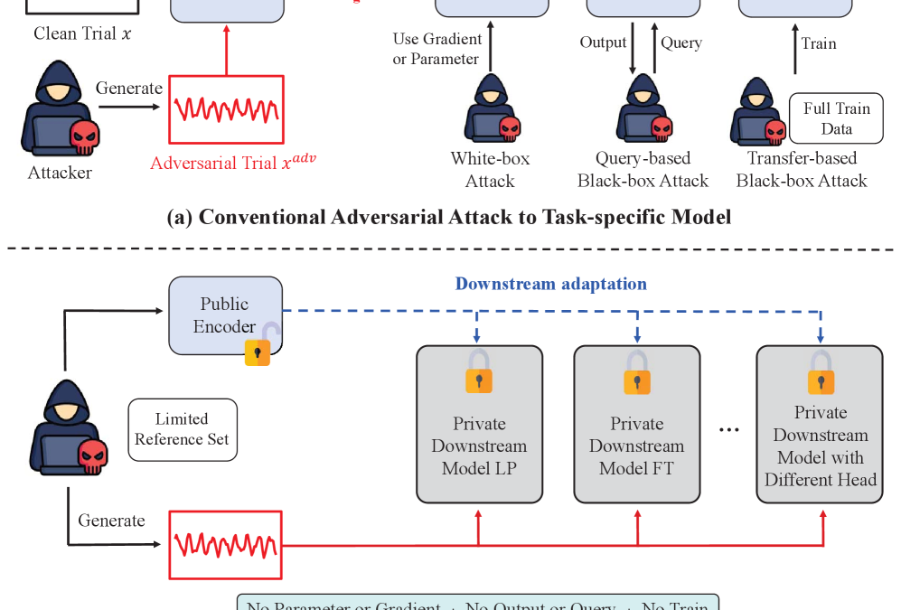 Public EEG models can be turned against private AI