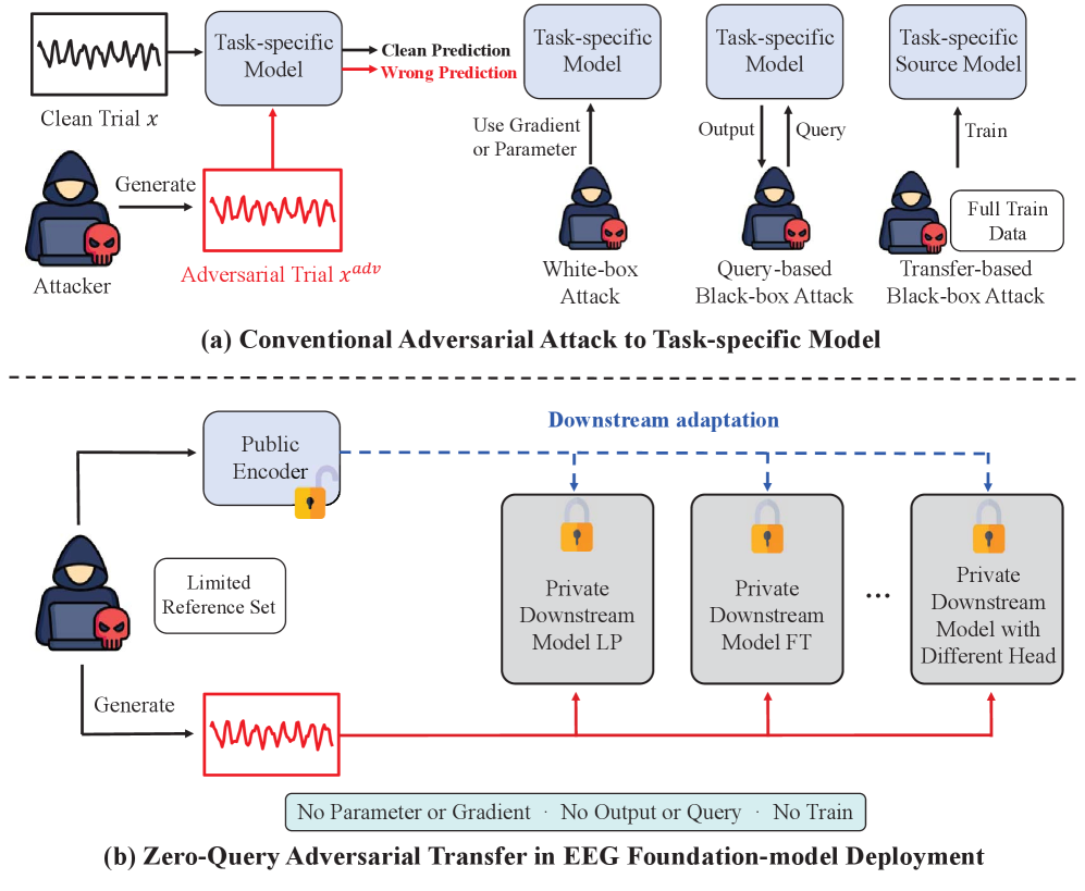 Public EEG models can be turned against private AI