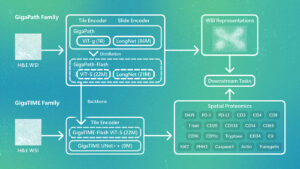 Microsoft’s GigaPath-Flash Cuts Pathology Model Compute by 50x