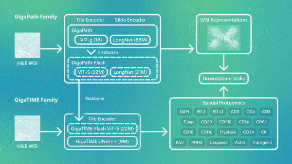 Microsoft’s GigaPath-Flash Cuts Pathology Model Compute by 50x